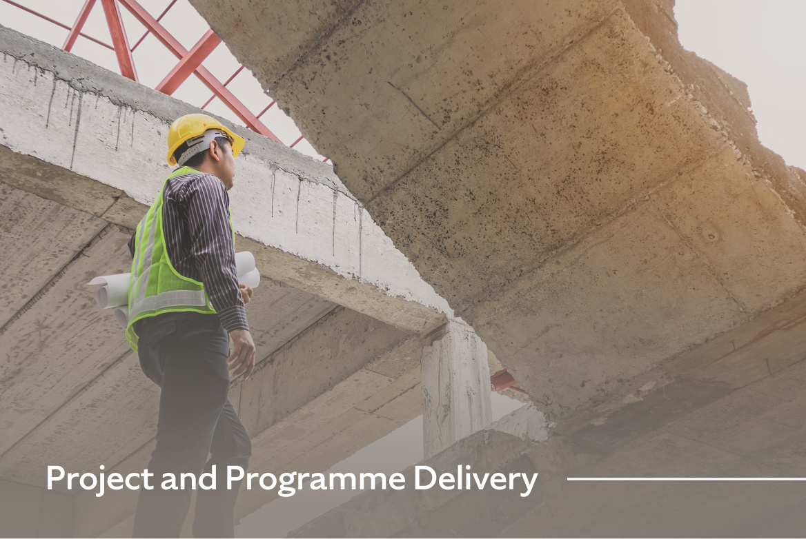 Infrastructure_ Project and Programme Delivery