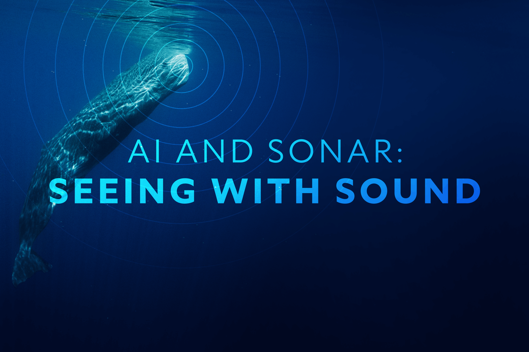 AI and Sonar: Seeing with Sound